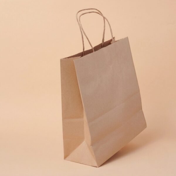 Brown Paper Bags (250 Pcs) (240X110X310)